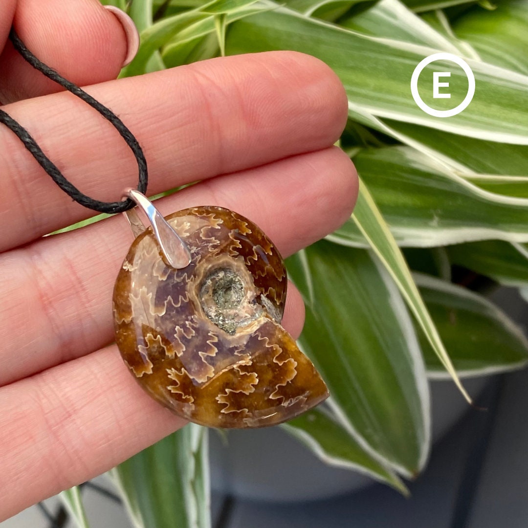 Collier Pendentif Ammonite Fossile Naturelle – Homme/Femme – Cordon Acier Inoxydable