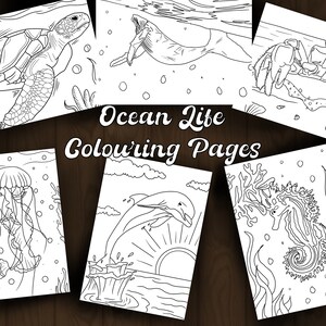 Páginas para colorear descargables inspiradas en Ocean Life para niños