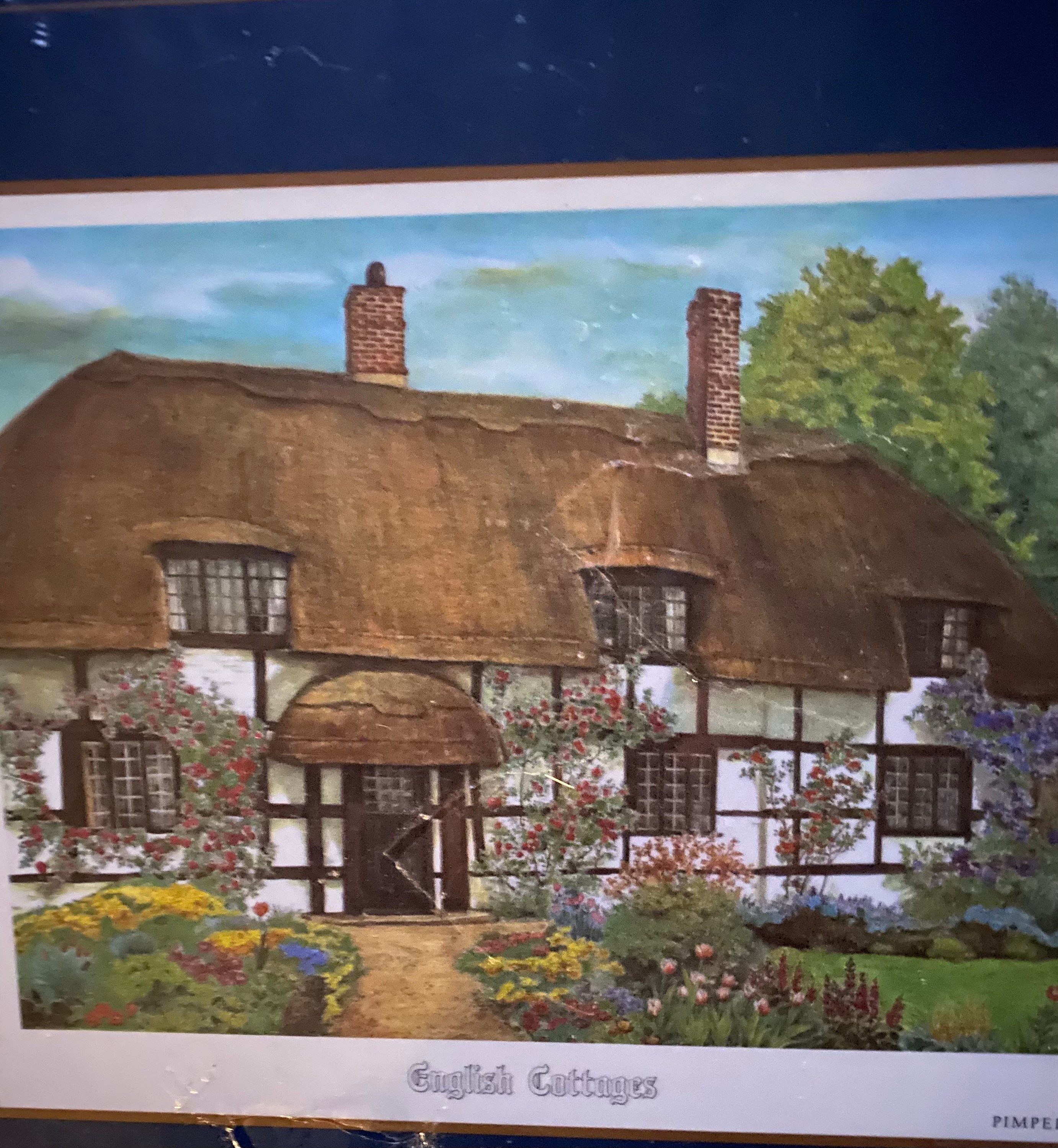 Vintage Pimpernel Deluxe Finish Set 4 Placemats with Etsy