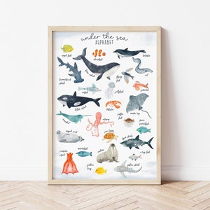 Sealife alphabet print | Nursery decor | kids room wall art | Children's bedroom wall art | Large poster | Educational print | A2