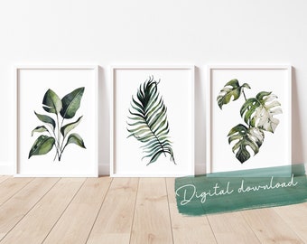 DIGITALER DOWNLOAD | Botanisches 3er Set | tropische Blätter | Monstera Bananenpflanze Palme