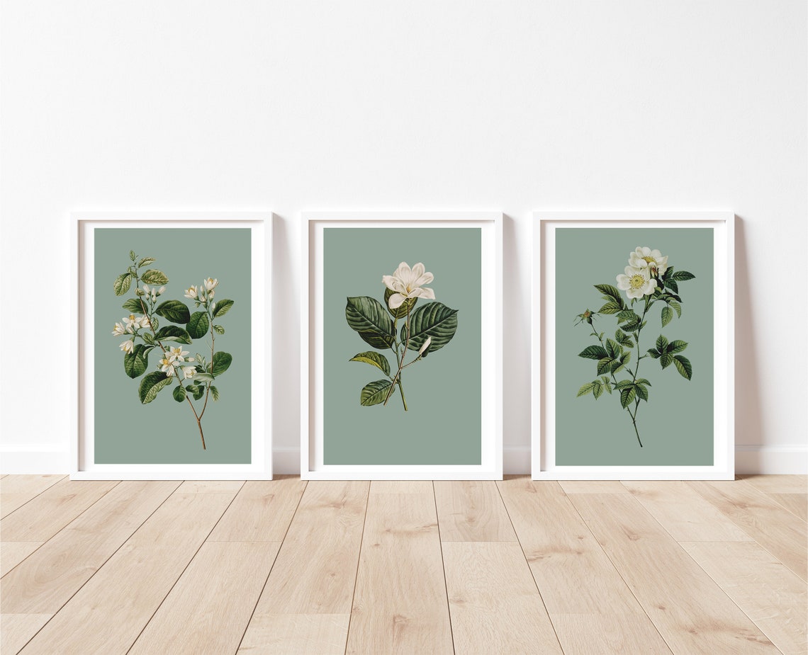 Sage Green Wall Prints Botanical Wall Prints Floral Art Etsy UK