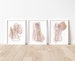 Blush pink and gold line art female body | set of three prints | minimalist nudes wallart decor | abstract art | A6 A5 A4 A3 