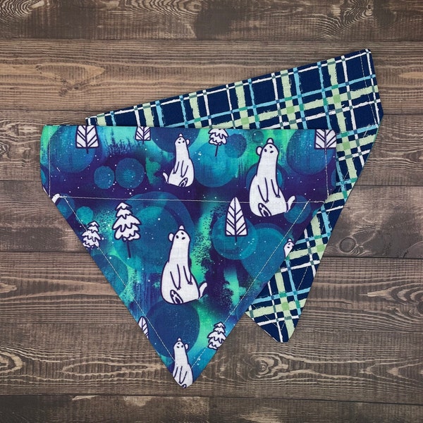 The "Northern Lights” Bandana