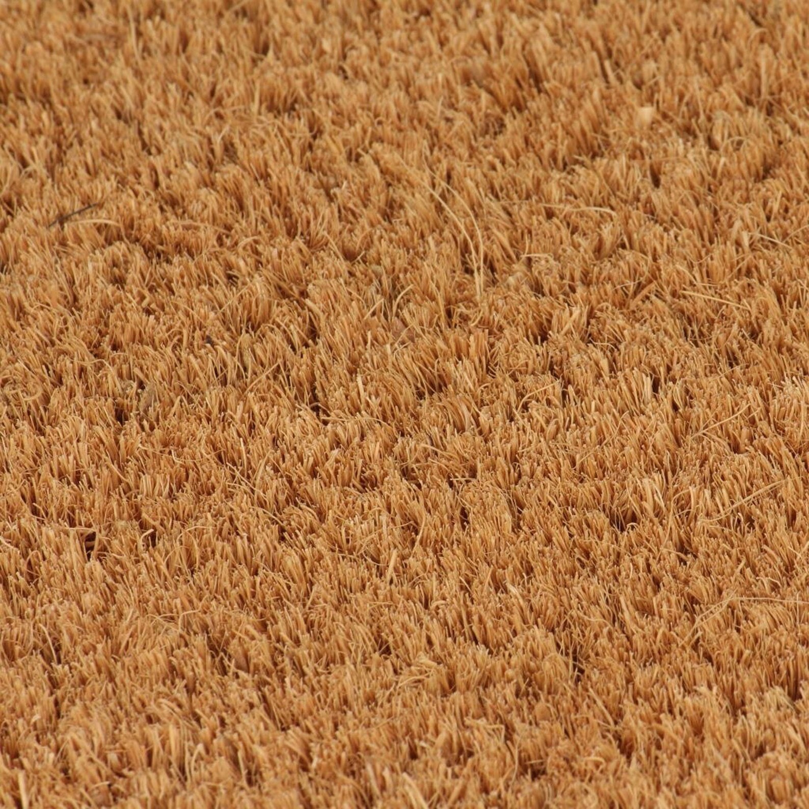 Natural color coconut fiber doormat 2 units 24mm 40x60cm Etsy