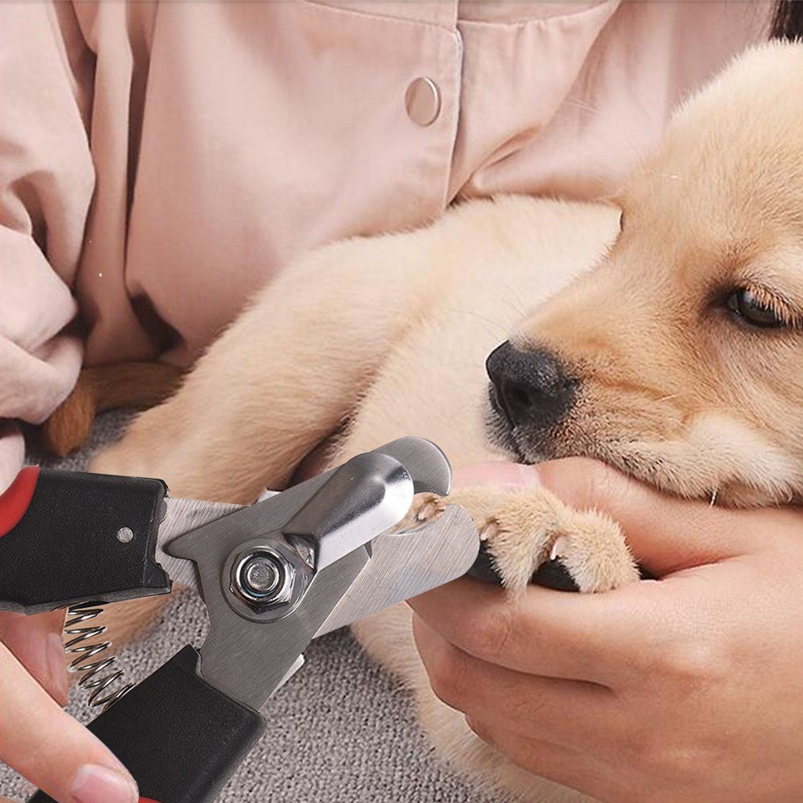 Professional Pet Dog Nail Clipper with Lock and Nail File Etsy