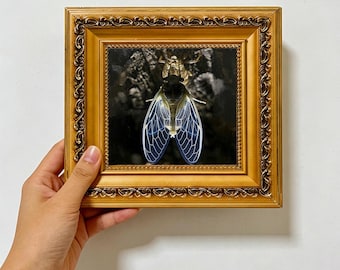 Transparent Wing Cicada Dark Wood ,Bug Wildlife Wall Art ,Custom Oil Painting from photo ,gift for friend,Size 4"×4" Christmas gift