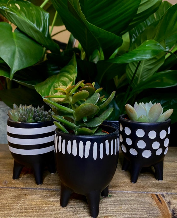 Sass & Belle Scandi Boho Little Planters On Legs Set Of 3 Small Black Plant Pots 