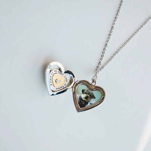 Ashes Necklace Gold Etsy