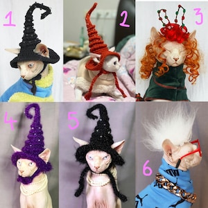 May include: Six different Sphynx cats wearing various costumes, including a witch hat, a red and white Santa hat, a curly blonde wig, a black and white witch hat, a black witch hat, and a white mohawk wig.