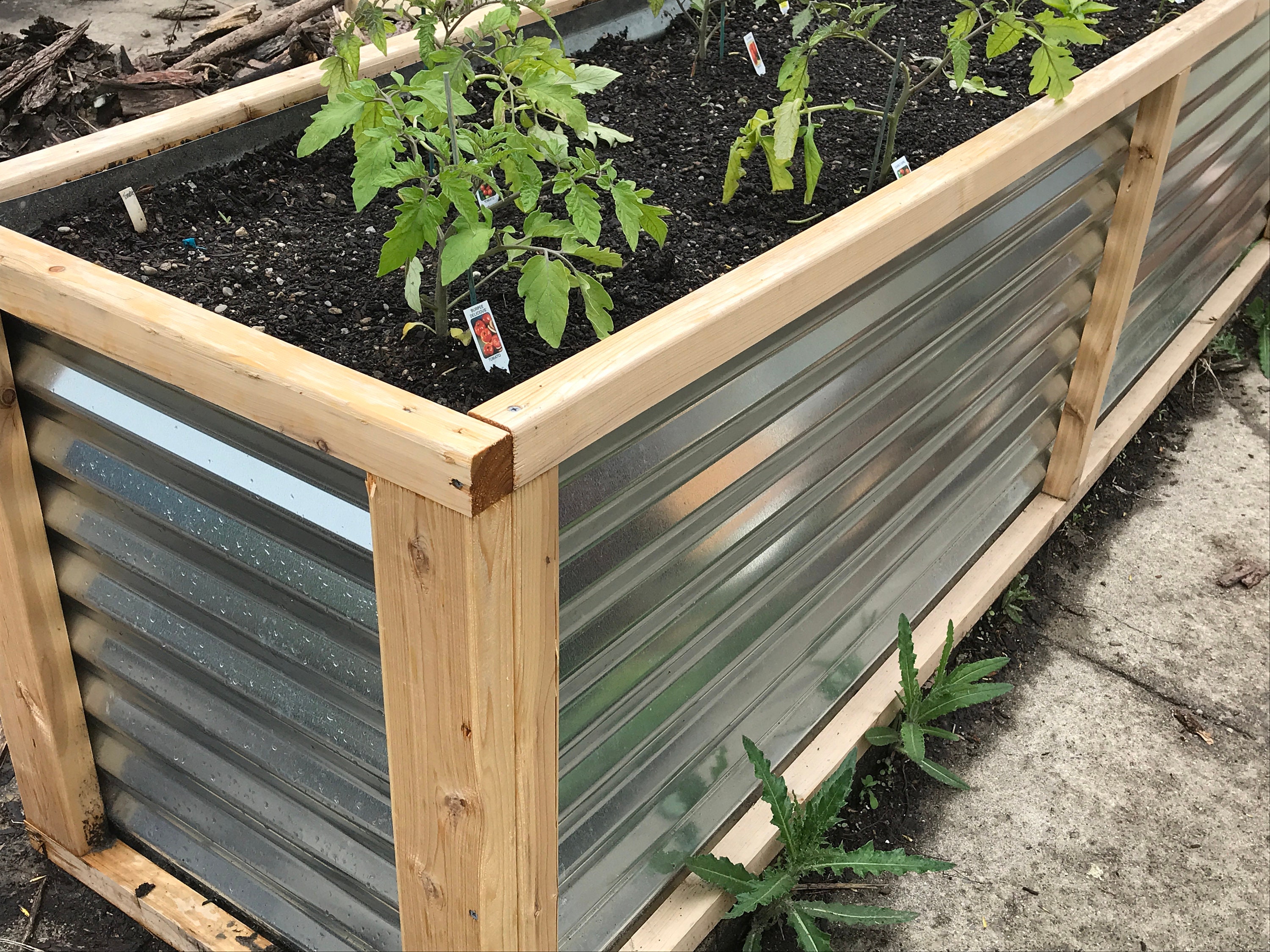 Steel Raised garden Bed | Etsy