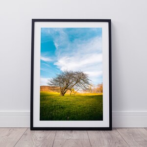 Instant Download Digital Art • Rich Mountain Tree • Photography {DIGITAL DOWNLOAD}