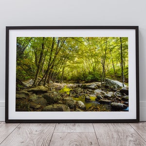 Instant Download Digital Art • Boone Fork Trail Stream, North Carolina  • Photography {DIGITAL DOWNLOAD}