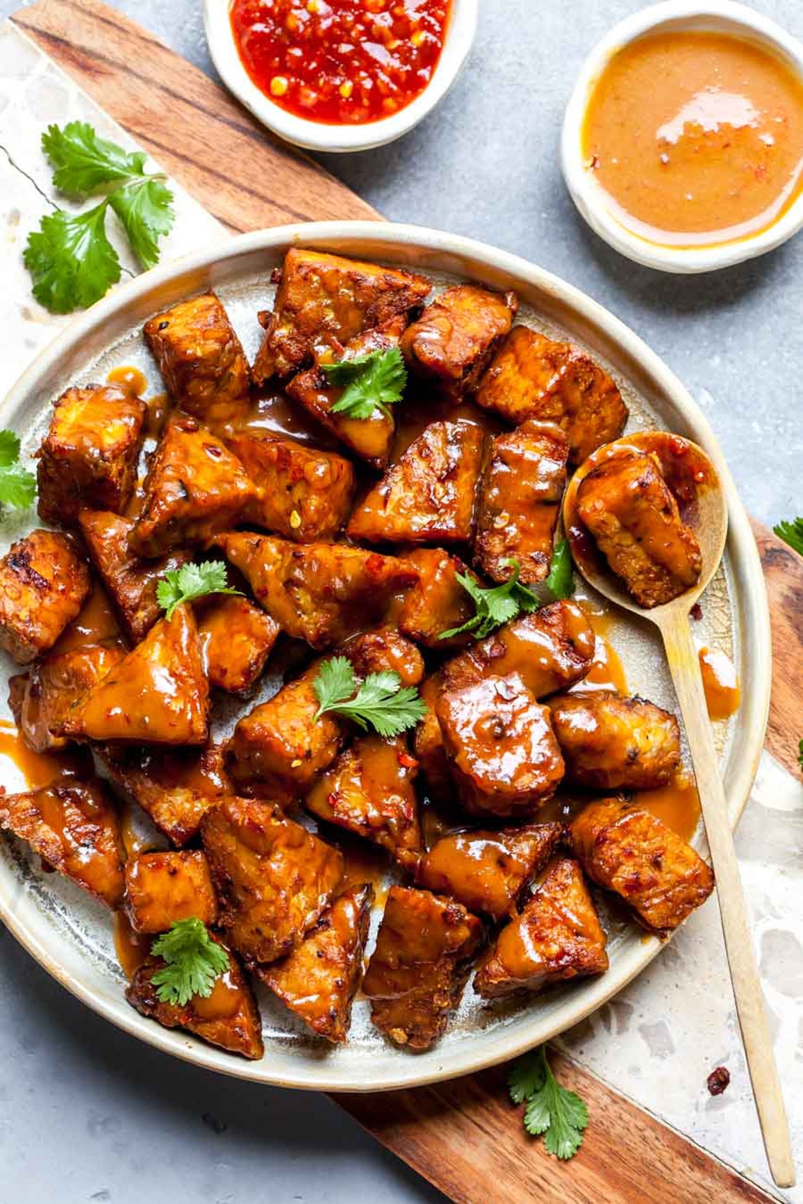 Vegan Organic Soy Tempeh Bulk 1 Lb Etsy