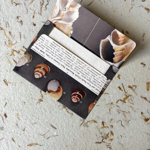 1950s Seashell Recycled National Geographic Umschläge und Karten, 3er Set