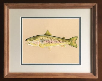 Trucha arco iris - Salmónido, Pescado de agua dulce, Pescado, Ilustración, Color, Imprimir.