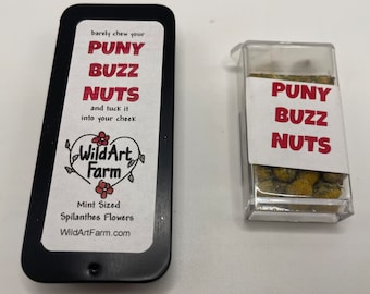 PUNY BUZZ NUTS™- flores de Spilanthes del tamaño de una menta para el aliento - Herbal Buzz Button Mints