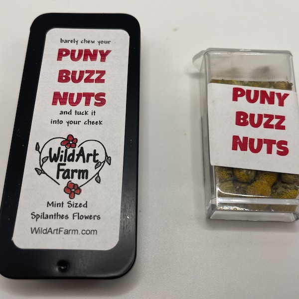 PUNY BUZZ NUTS™- breath mint size Spilanthes flowers - Herbal Buzz Button Mints