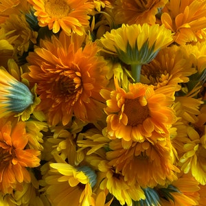 May include: A close-up of a bunch of bright orange and yellow calendula flowers. The flowers are in full bloom and have a delicate, ruffled appearance.