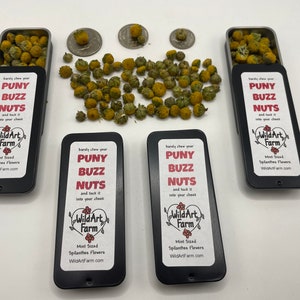 PUNY BUZZ NUTS™ - fiori di Spilanthes delle dimensioni di una menta per l'alito - Mentine a bottone a base di erbe