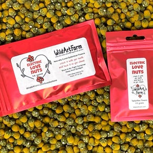 Buzz Buttons Organische essbare Spilanthes Blumen - Electric Love Nuts & Tingle Bells