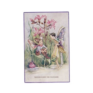 Puede incluir: Ilustración vintage de dos hadas en un jardín. Una hada está sentada en una hoja grande, mientras que otra está de pie cerca. Flores rosas y exuberante vegetación las rodean. El texto "RAGGED-ROBIN THE WAYFARER" está en la parte inferior.