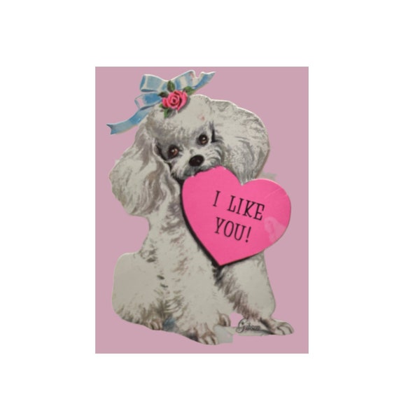 Vintage unused card by Gibson - die-cut, single-sided with envelope - White poodle - I like You