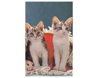 Unused vintage kitsch photo postcard - 4 kittens against red background - Plastichrome - Colourpicture Inc.