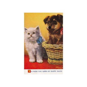 Peut inclure: Carte postale vintage avec un chaton blanc et un nœud bleu, et un chiot marron dans un panier en osier. Le texte en bas dit : « TO WISH YOU LOTS OF HAPPY DAYS ! »