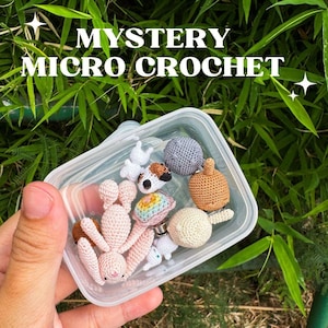 MICRO Crochet Mystery Bag - gehäkelte Ohrringe Schlüsselanhänger - handgemachte Überraschungsbox - winzige gehäkelte Kreationen - Puppenhaus Miniaturen - Wundertüte