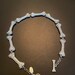 Vivienne Westwood Bone Necklace