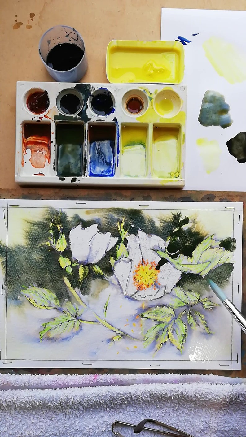 Learn to paint white Dog Roses in water colour by Claire Botterill with her video Tutorial