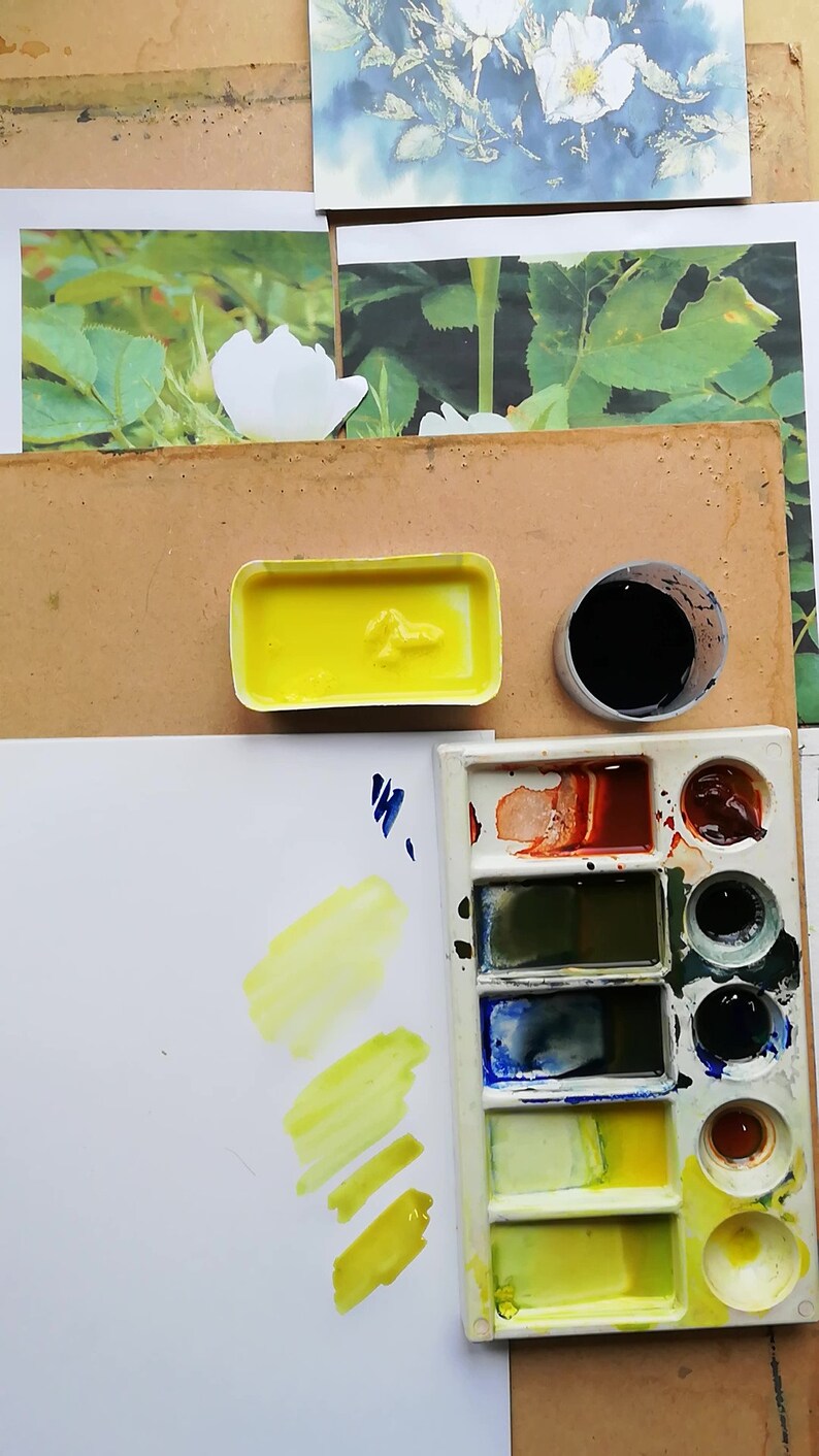 Learn to paint white Dog Roses in water colour by Claire Botterill with her video Tutorial