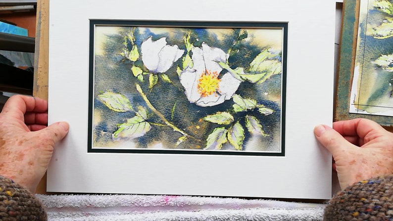 Learn to paint white Dog Roses in water colour by Claire Botterill with her video Tutorial