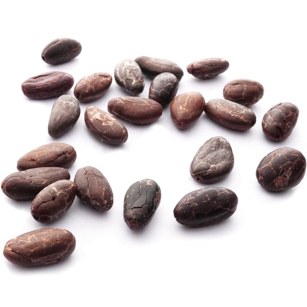 Bio Kakaobohnen in Rohkostqualität - ohne Haut - nicht fermentiert 1kg (DE-ÖKO-006)