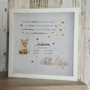 Picture frame illuminated baby baptism birth occasion gift idea birthday animals baby room children's room illuminated picture night light animals