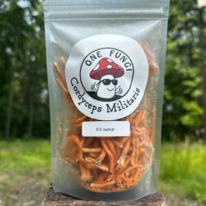 Mogo Farm Organics 50g Whole Dried Cordyceps Militaris - 100% Organic Fruiting Body, UK Grown