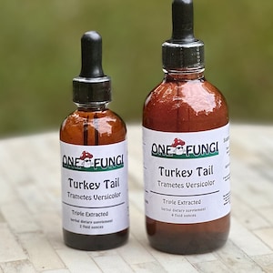 Può includere: Due bottiglie di vetro ambrato con contagocce, etichettate "ONE FUNGI Turkey Tail Trametes Versicolor Triple Extracted integratore alimentare a base di erbe" con la bottiglia più piccola che contiene 2 once liquide e la bottiglia più grande che contiene 4 once liquide.
