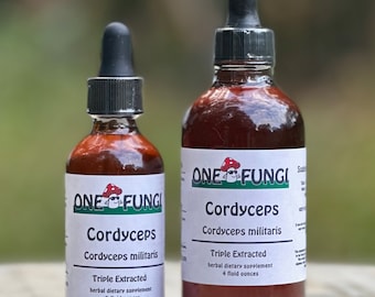 Cordyceps Militaris Tincture Triple Extraction, Organic USA grown