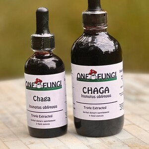 Chaga Tincture Triple Extraction