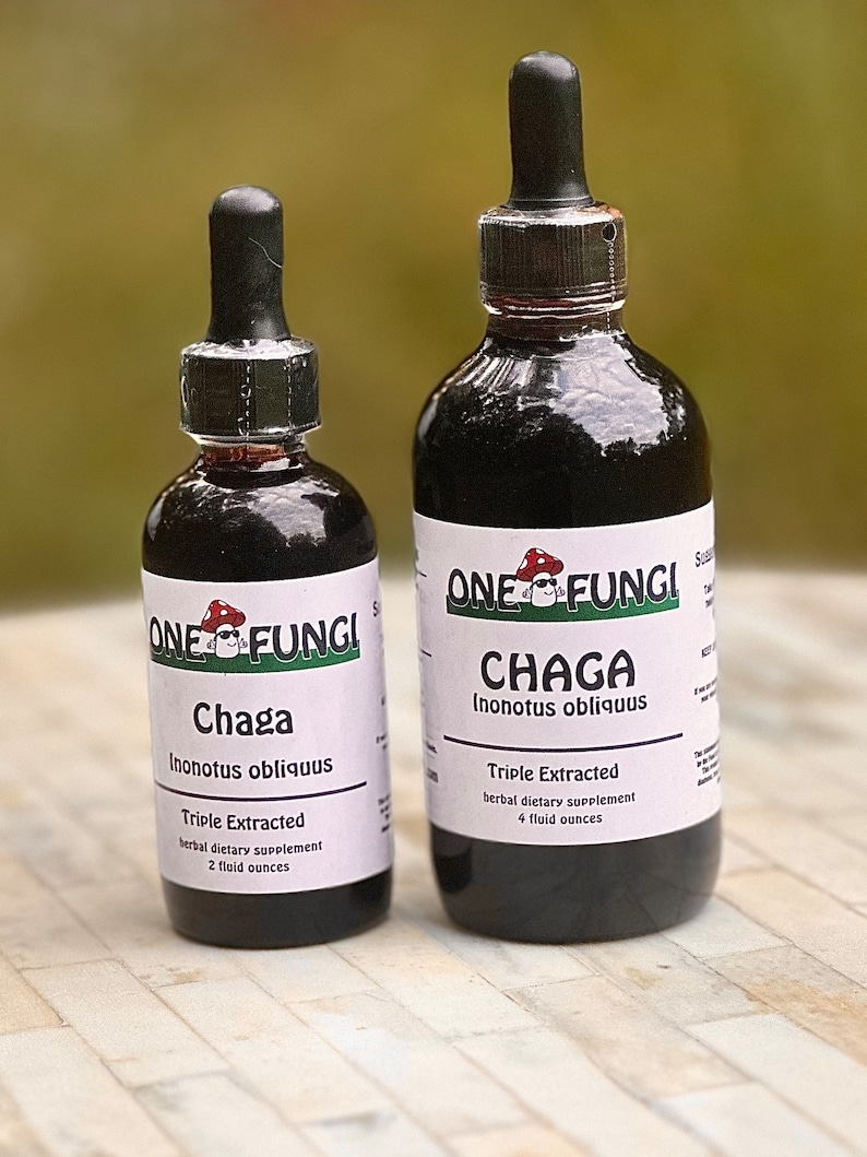 Chaga Tincture Triple Extraction - Etsy