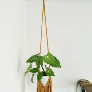 Fringe Macrame Plant Hanger, Macrame Wall Hanger, Boho Home Decor, Plant Lover Gift, Macrame Decor image 2