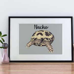 Puede incluir: Una impresi&oacute;n enmarcada de una tortuga con el nombre "Nacho" escrito encima. La tortuga es marr&oacute;n y amarilla con marcas negras y est&aacute; dibujada en un estilo de dibujos animados.