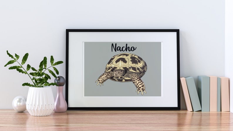 Puede incluir: Una impresi&oacute;n enmarcada de una tortuga con el nombre "Nacho" escrito encima. La tortuga es marr&oacute;n y amarilla con marcas negras y est&aacute; dibujada en un estilo de dibujos animados.