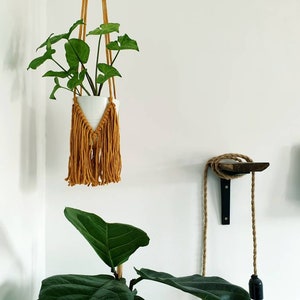 Fringe Macrame Plant Hanger, Macrame Wall Hanger, Boho Home Decor, Plant Lover Gift, Macrame Decor image 3