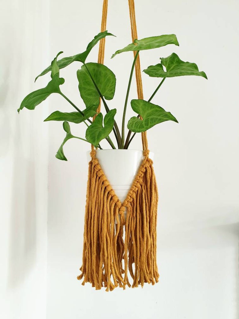 Fringe Macrame Plant Hanger, Macrame Wall Hanger, Boho Home Decor, Plant Lover Gift, Macrame Decor image 5