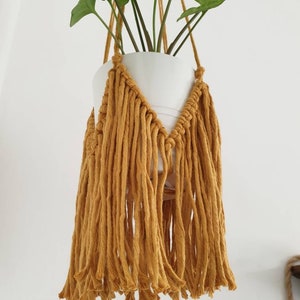 Fringe Macrame Plant Hanger, Macrame Wall Hanger, Boho Home Decor, Plant Lover Gift, Macrame Decor image 7