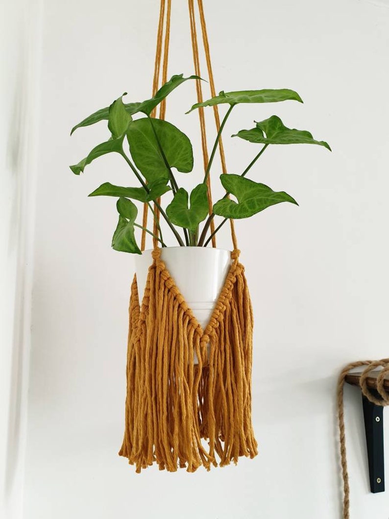 Fringe Macrame Plant Hanger, Macrame Wall Hanger, Boho Home Decor, Plant Lover Gift, Macrame Decor image 1