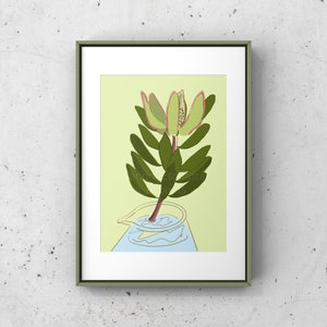 Leucadendron: Digital Giclee Botanical Art Print