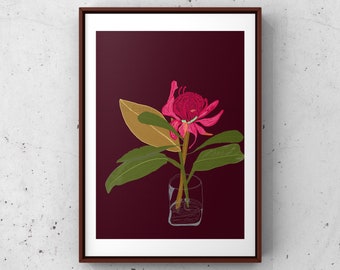 Waratah; Fleur australienne: Digital Giclee Floral Art Print